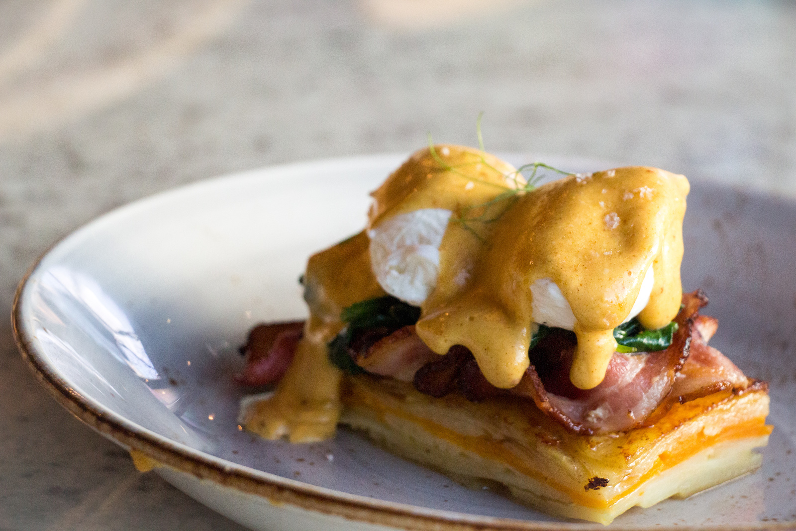 Auckland’s Best Eggs Benedicts | Dish Cult