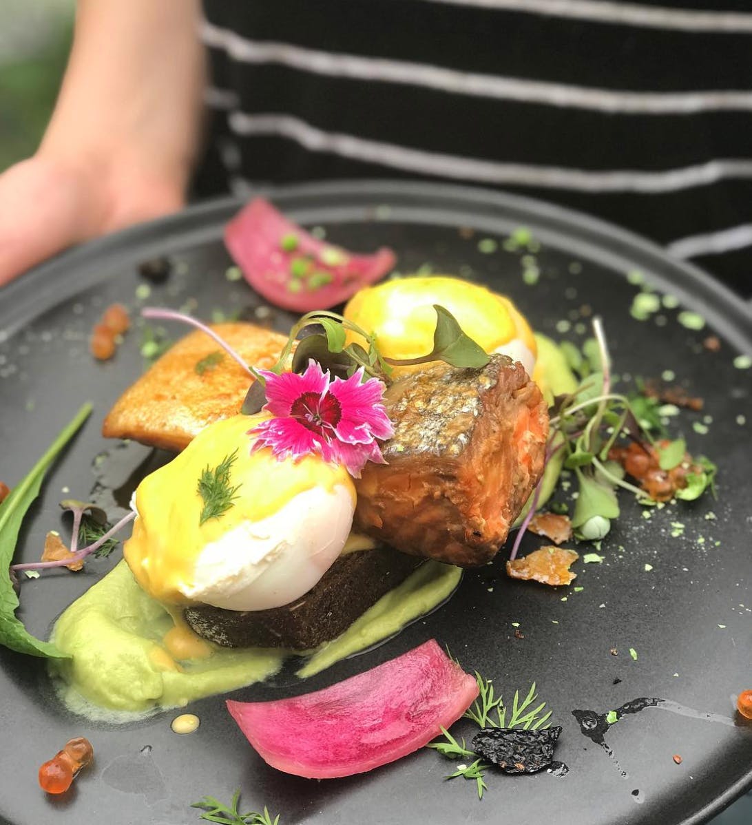 Auckland’s Best Eggs Benedicts Dish Cult