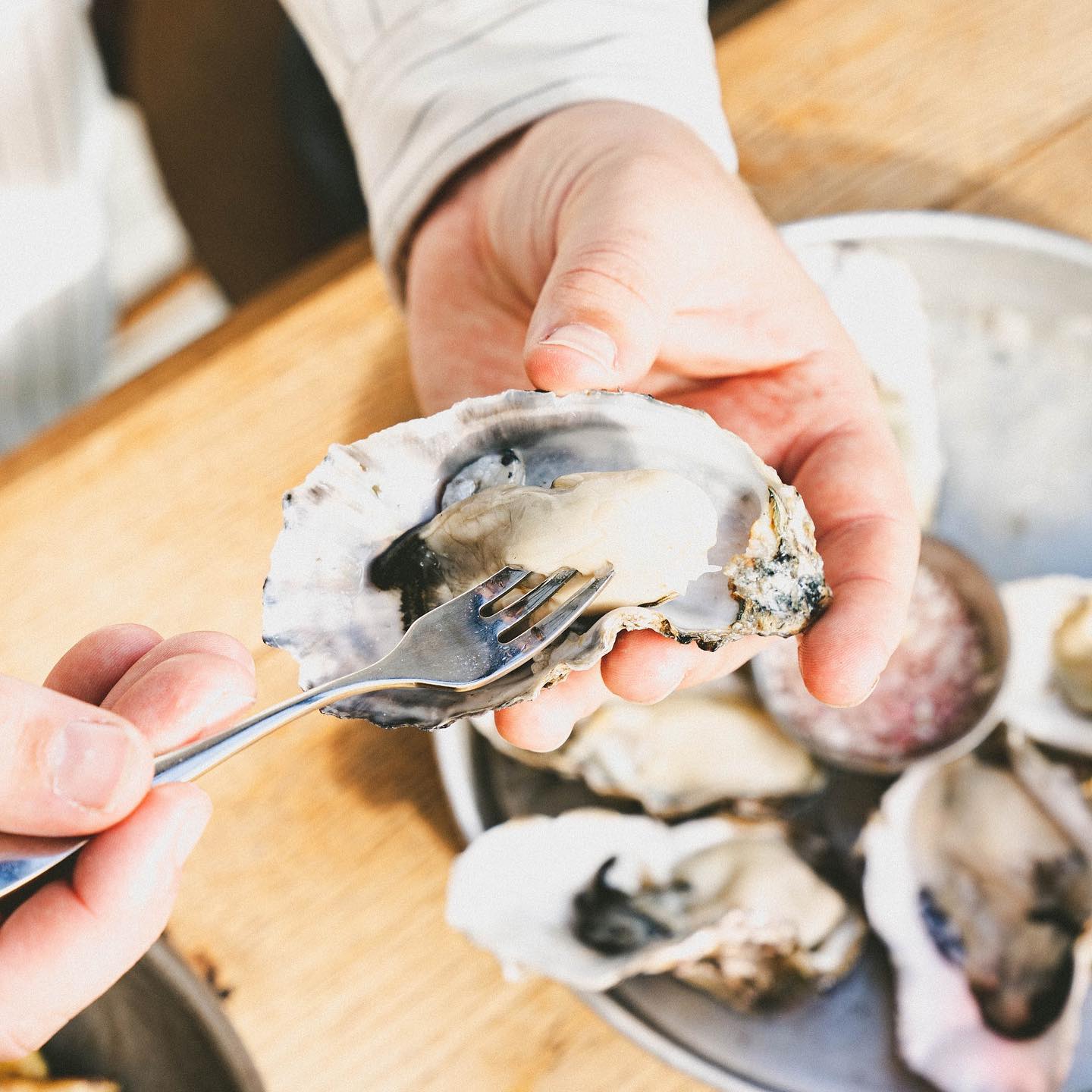 Where To Eat Oysters In Auckland Dish Cult