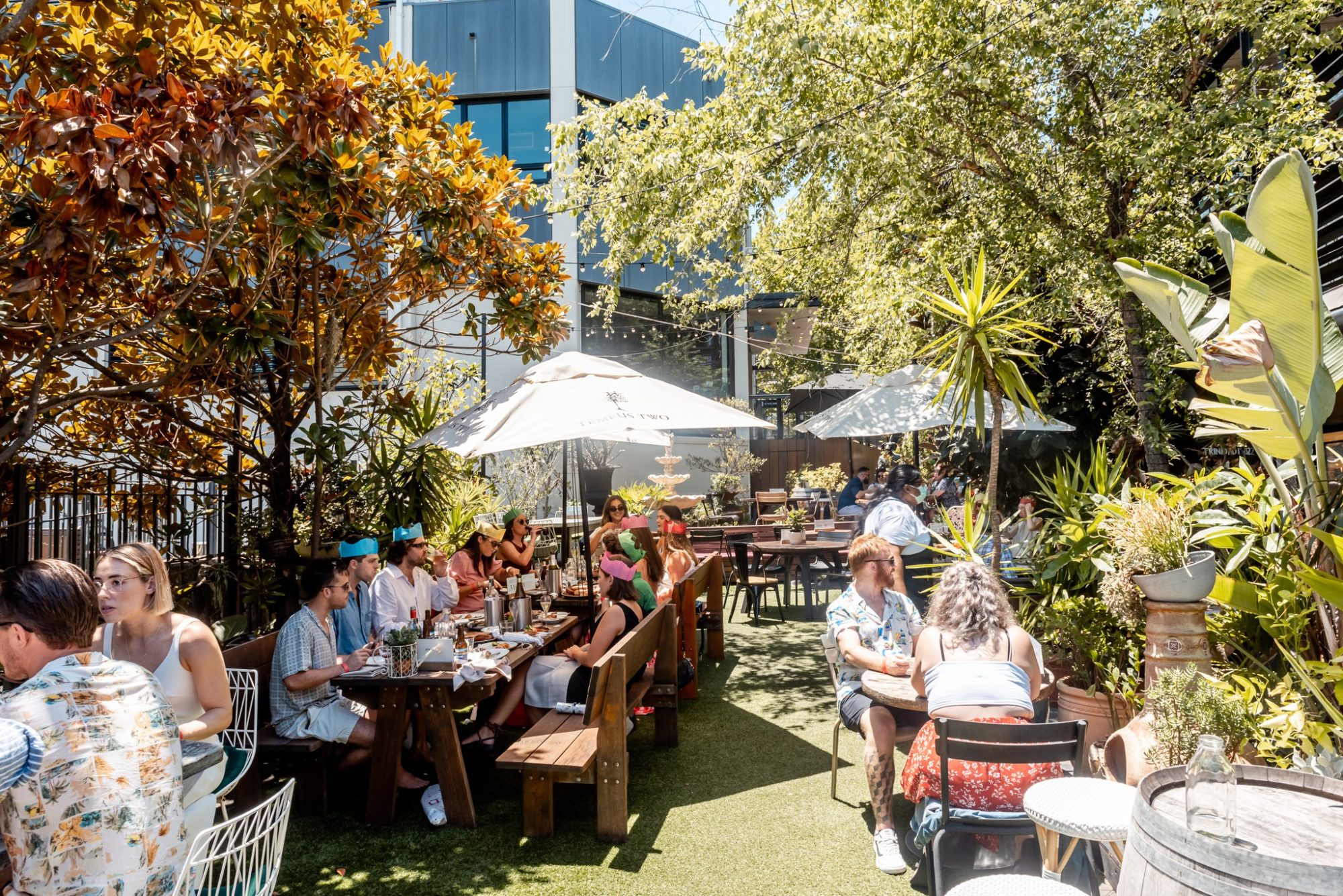 Pet friendly eateries in and around Sydney Dish Cult