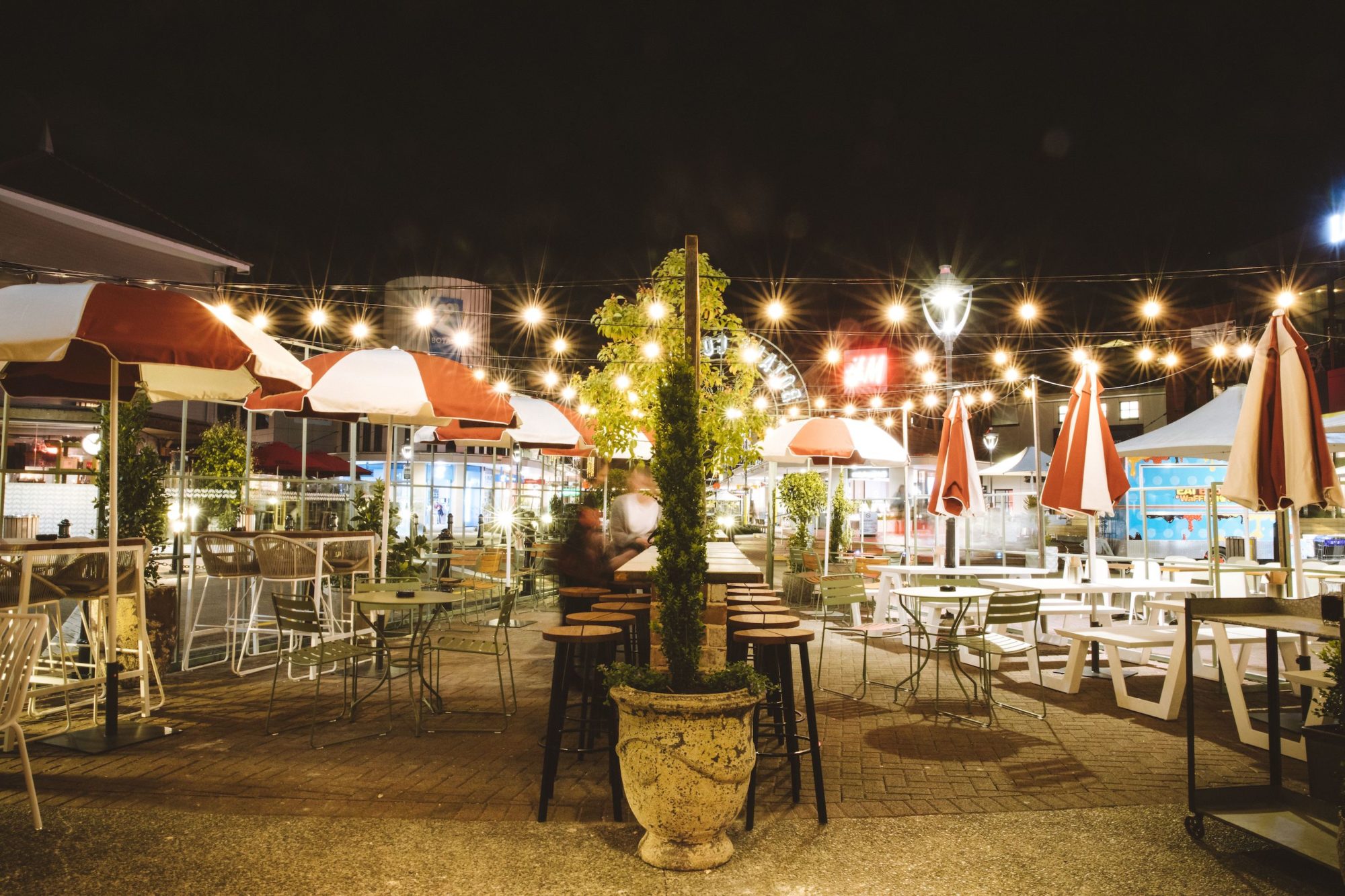 The Best DogFriendly Restaurants in Auckland Dish Cult