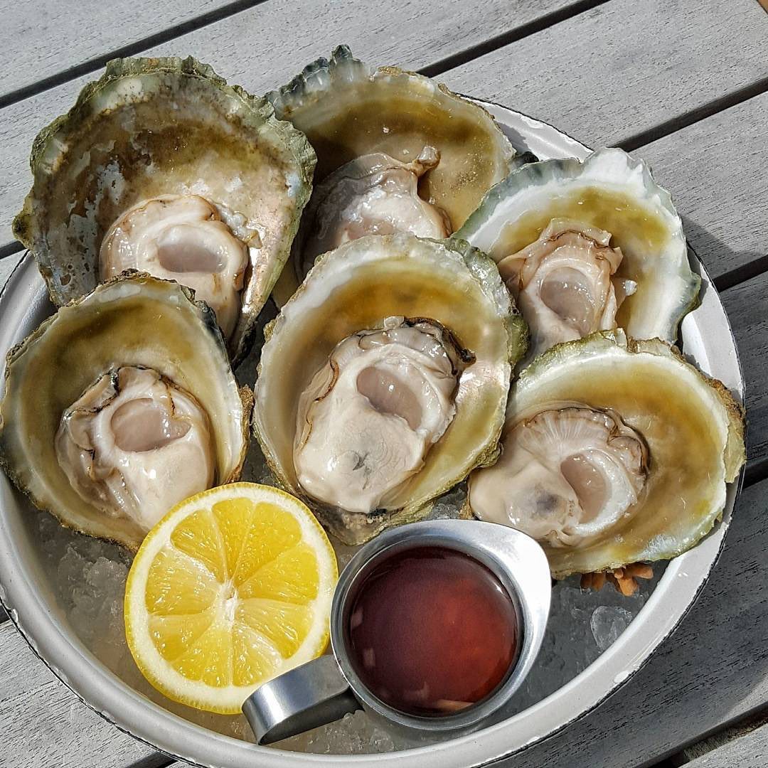 Where To Eat Bluff Oysters This March Dish Cult