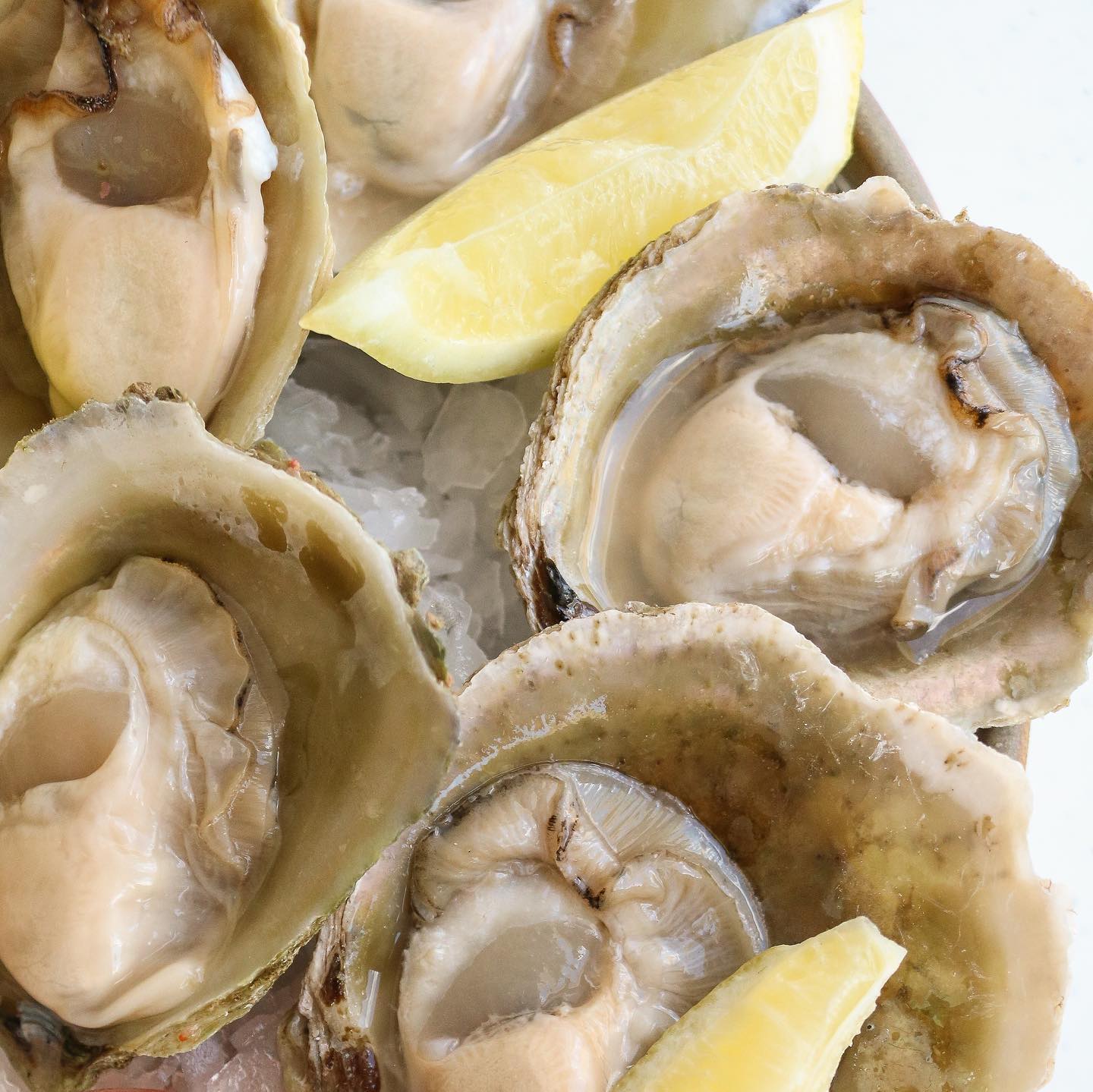 Bluff oysters deals