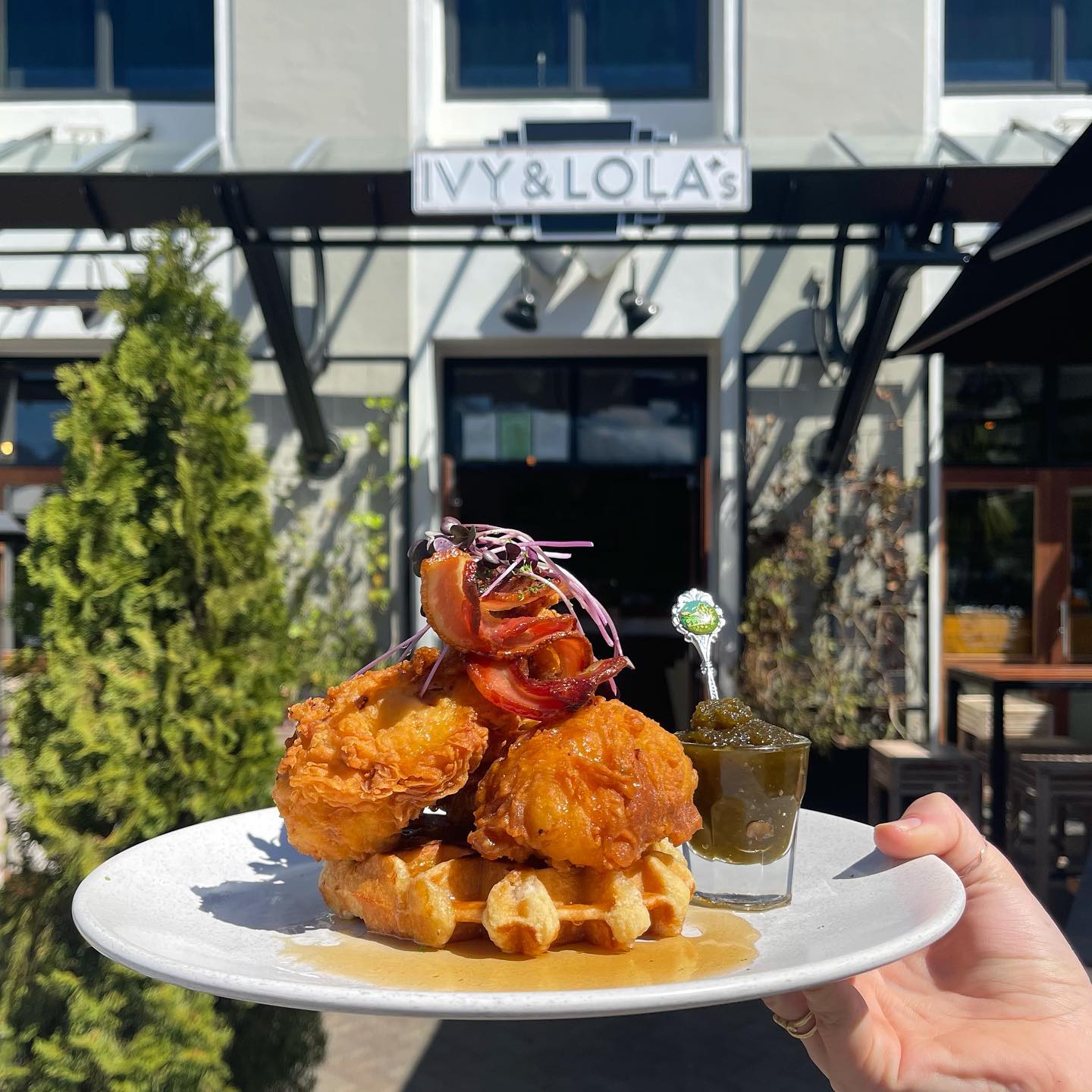 The Best Places To Brunch In Queenstown Dish Cult   Ivylolaqt 