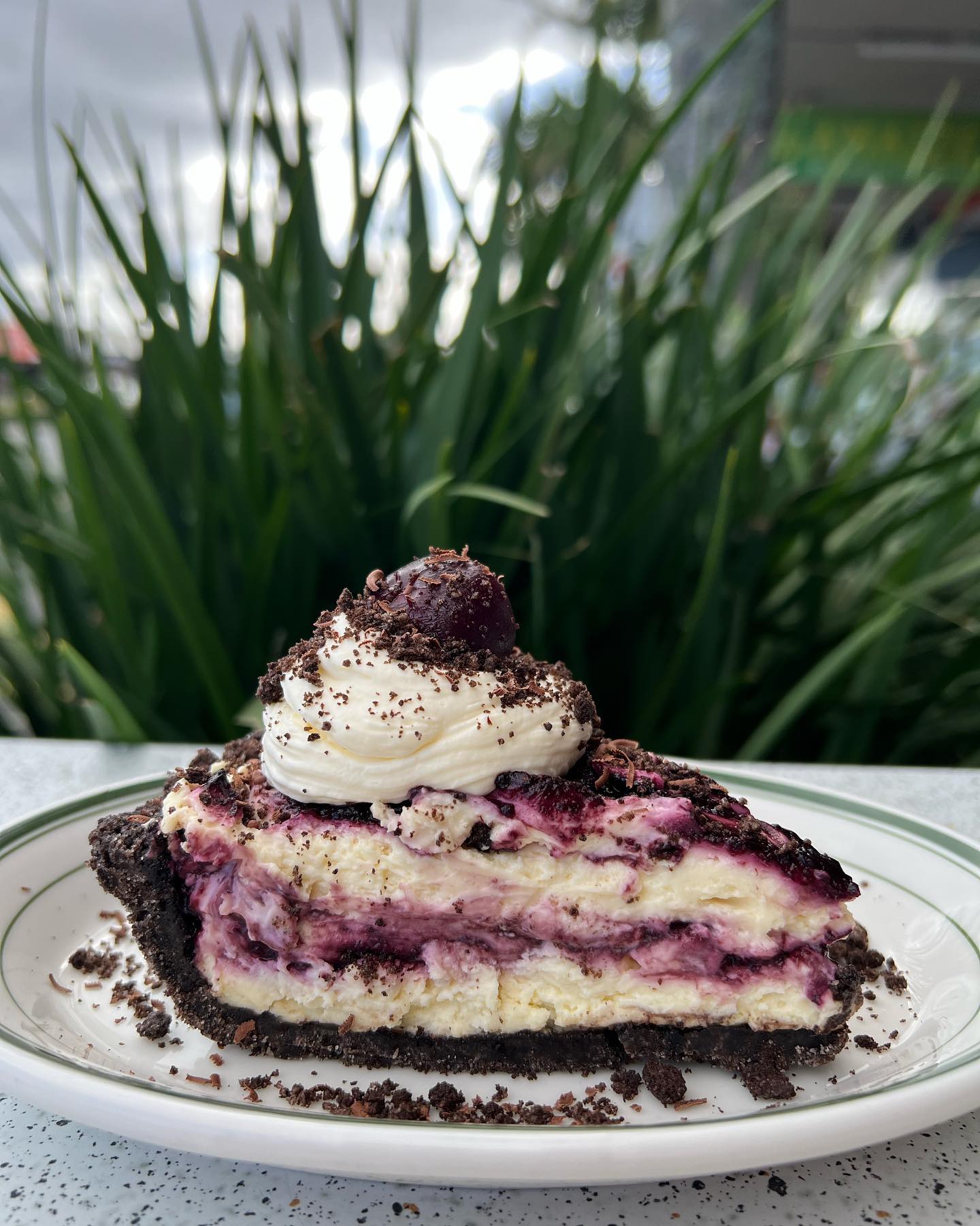 Where To Get The Best Dessert Pies In Auckland Dish Cult