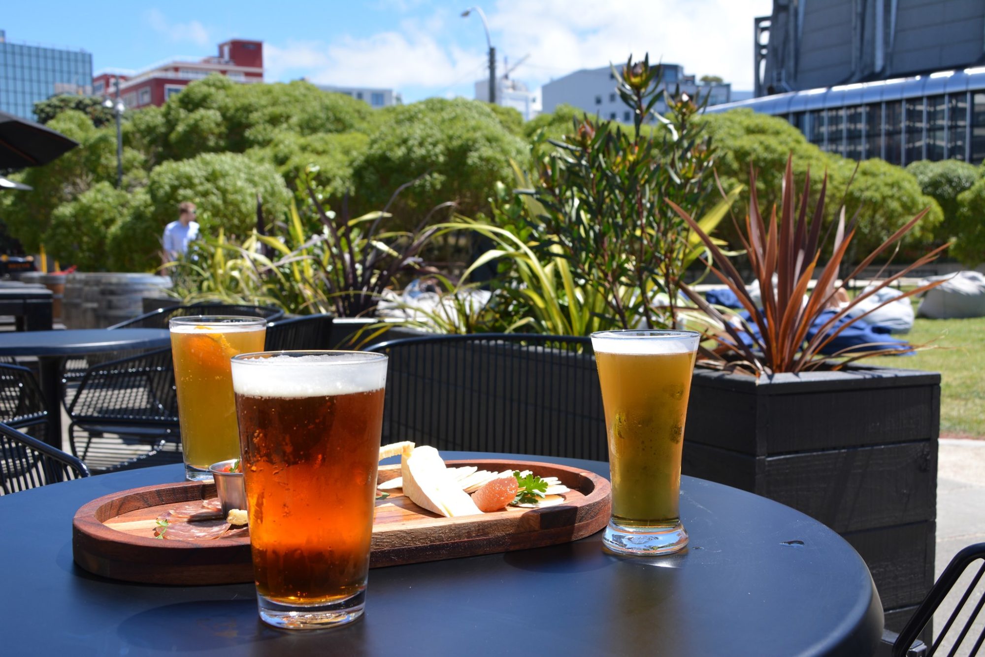 The Best Beer Spots In Wellington Dish Cult