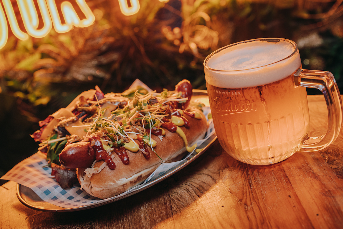 The top dogfriendly restaurants in Edinburgh Dish Cult