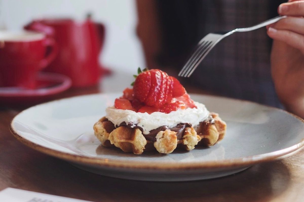 The top dogfriendly restaurants in Edinburgh Dish Cult