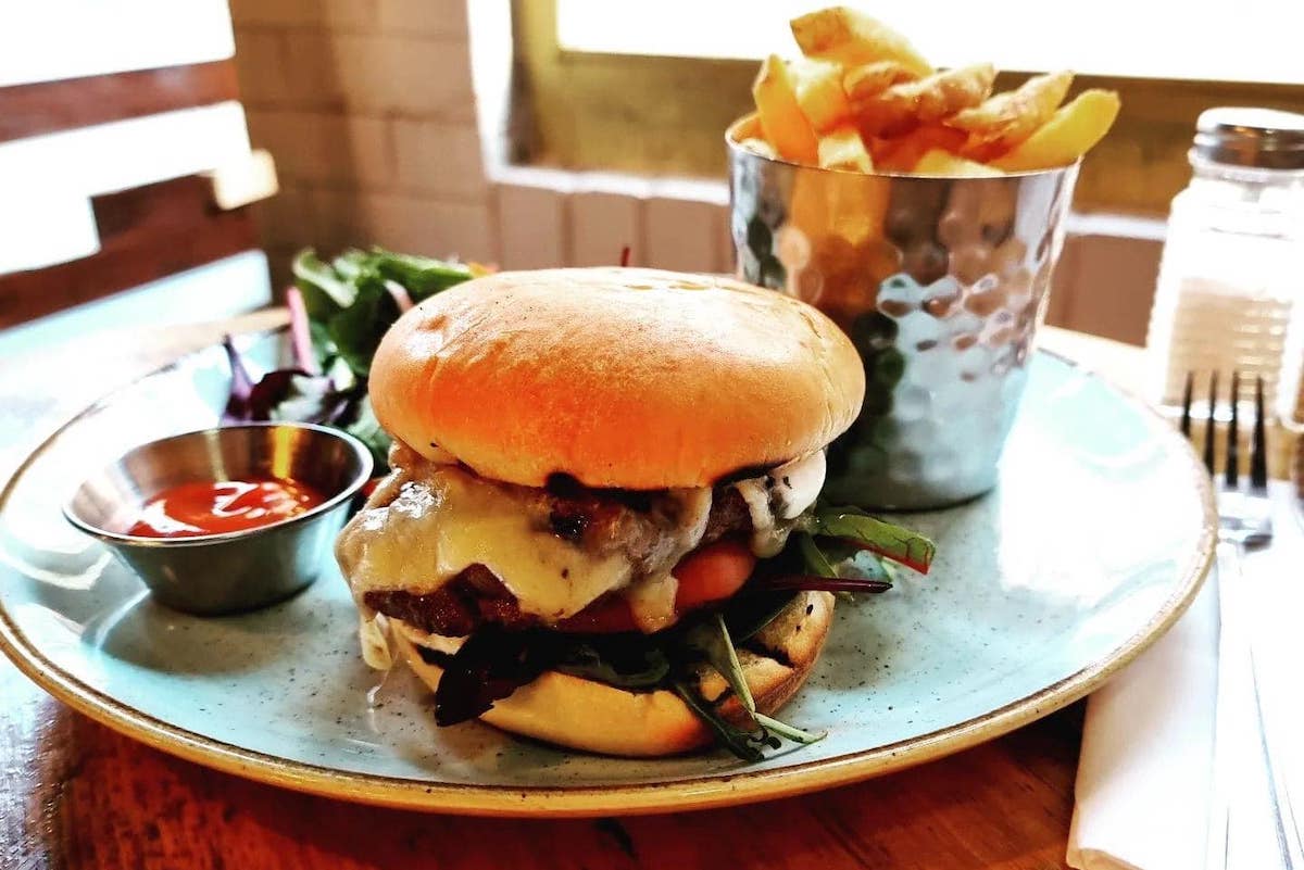 The top dogfriendly restaurants in Edinburgh Dish Cult