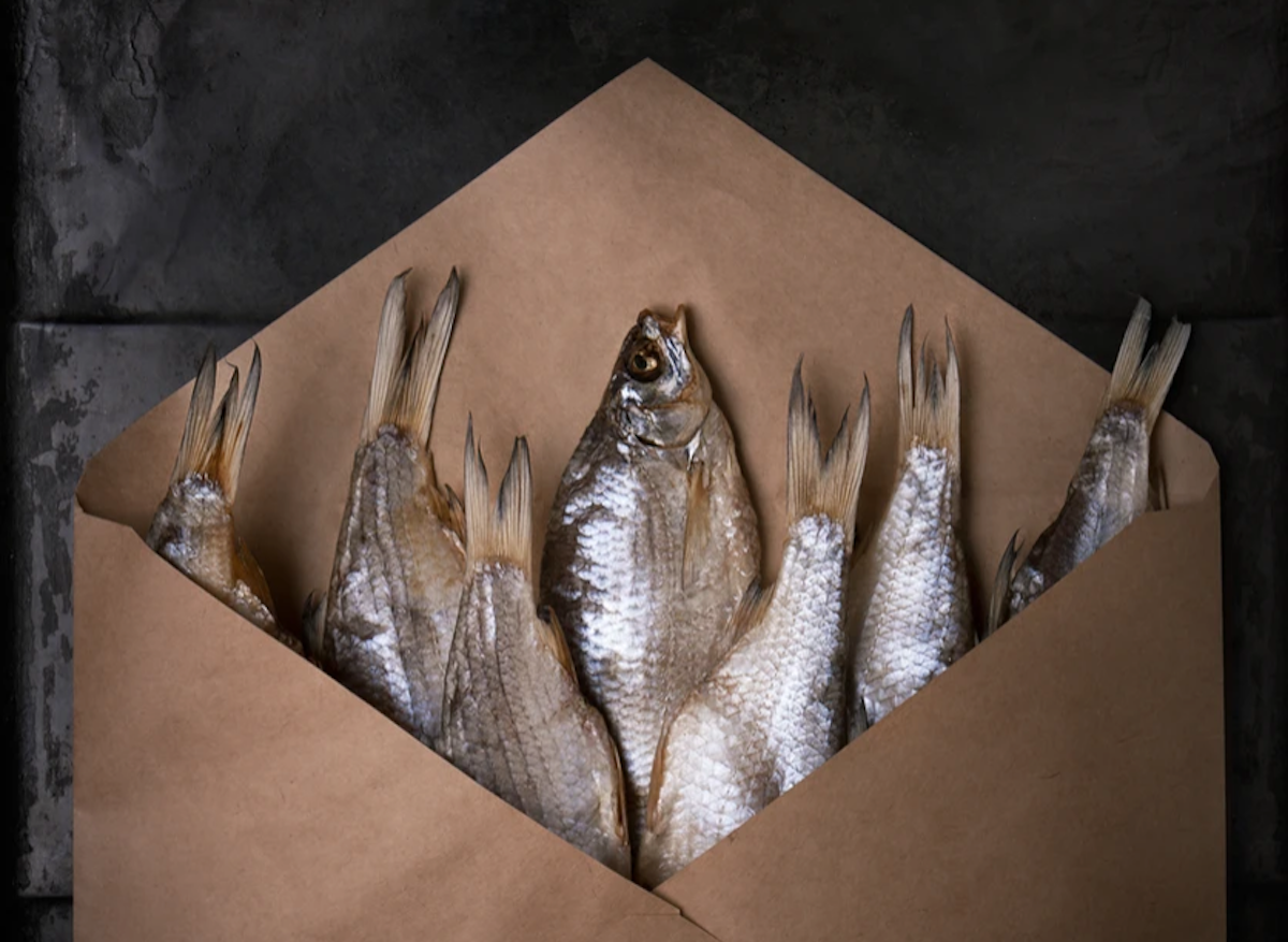 Oyster happy hour and Glasgow’s tastiest catch of the day Spotlight on